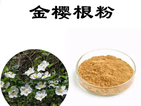 细节图